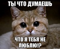 Ты что думаешь что я тебя не люблю!?