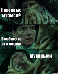 Красивые мурыси? Вообще то это кошки Мурррыси