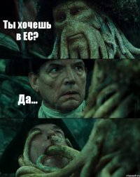 Ты хочешь в ЕС? Да... 