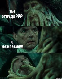 ты откуда??? с межлесия!!! 