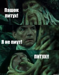 Пашок питух! Я не пиут! ПИТУХ!!