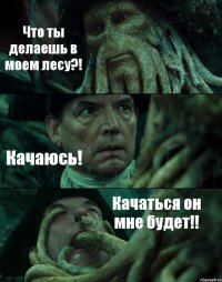 Что ты делаешь в моем лесу?! Качаюсь! Качаться он мне будет!!