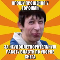 Прошу прощения у горожан за неудовлетворительную работу власти по уборке снега