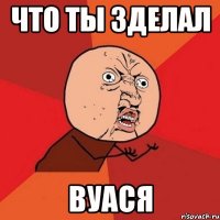 что ты зделал вуася