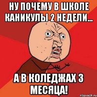 Ну почему в школе каникулы 2 недели... а в коледжах 3 месяца!