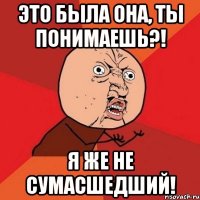 это была она, ты понимаешь?! я же не сумасшедший!