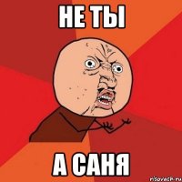 не ты а саня