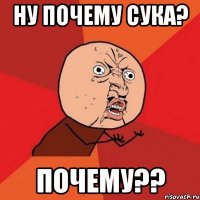 НУ ПОЧЕМУ СУКА? ПОЧЕМУ??