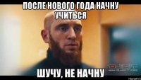 После нового года начну учиться Шучу, не начну