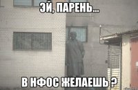  в нфос желаешь ?