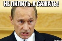 НЕ ПИЛИТЬ, А САЖАТЬ! 