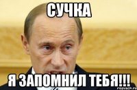 сучка я запомнил тебя!!!