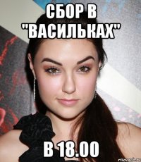 Сбор в "Васильках" в 18.00