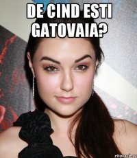 de cind esti gatovaia? 