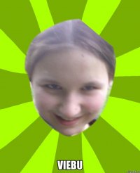  VIEBU