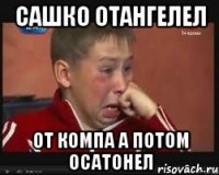 Сашко отангелел От компа а потом осатонел