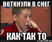 воткнули в снег как так то