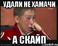 удали не хамачи а скайп