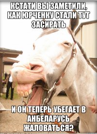 кстати вы заметили, как юрченку стали тут засирать и он теперь убегает в анбеларусь жаловаться?