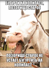 бугурти на копипаст, позорище старое позорище старое не устает бугуртить на копипаст ^