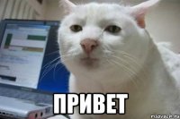  привет