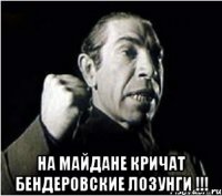  На майдане кричат бендеровские лозунги !!!