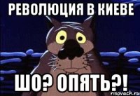 Революция в Киеве Шо? Опять?!