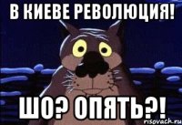 В Киеве революция! Шо? Опять?!