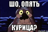 Шо, опять курица?