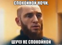 Спокойной ночи, ШУЧУ НЕ СПОКОЙНОЙ