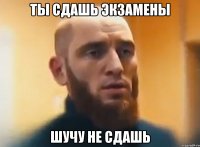 ты сдашь экзамены ШУЧУ не сдашь