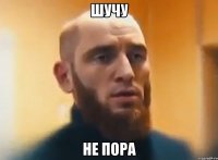 Шучу Не пора