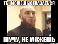 ТЫ МОЖЕШЬ ОТКАЗАТЬСЯ ШУЧУ, НЕ МОЖЕШЬ