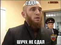 Сдал Шучу, не сдал