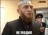 шучу не уходил