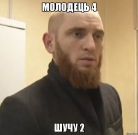 молодець 4 шучу 2