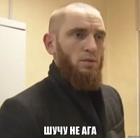  Шучу не ага