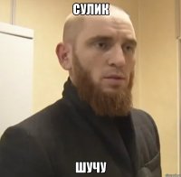 Сулик шучу