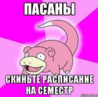 ПАСАНЫ СКИНЬТЕ РАСПИСАНИЕ НА СЕМЕСТР