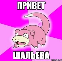 ПРИВЕТ ШАЛЬЕВА