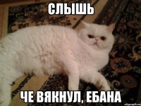 Слышь Че вякнул, ебана