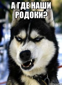 а где наши родоки? 