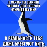 в мечтах ты великий человек, для которого открыт весь мир в реальности тебя даже брезгуют бить