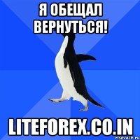 Я обещал вернуться! liteforex.co.in