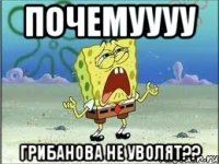 Почемуууу Грибанова не уволят??