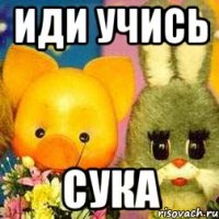 иди учись сука