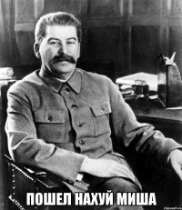  Пошел нахуй Миша