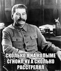  сколько я на колыме сгноил ну а сколько расстрелял