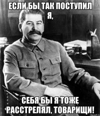 если бы так поступил я, себя бы я тоже расстрелял, товарищи!