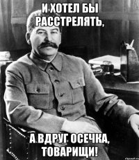 и хотел бы расстрелять, а вдруг осечка, товарищи!